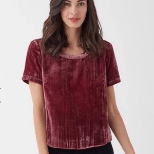 SPLENDID Velvet Top